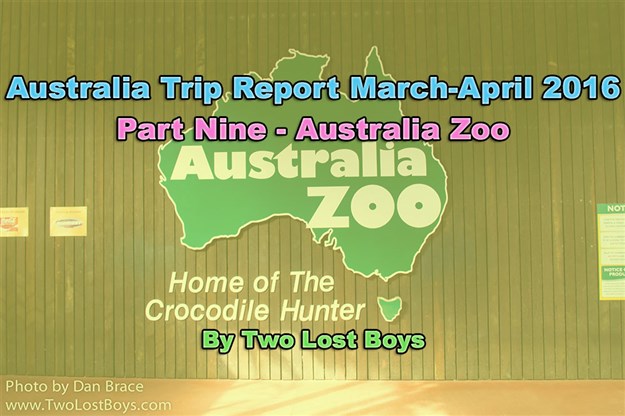 Australia March-April 2016 Trip Report, Part 9 - Australia Zoo