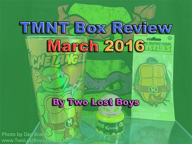 TMNT Box Review