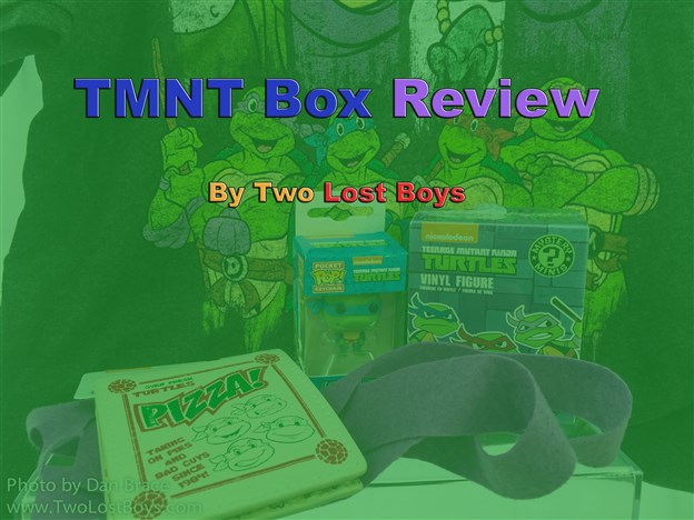 TMNT Box Review