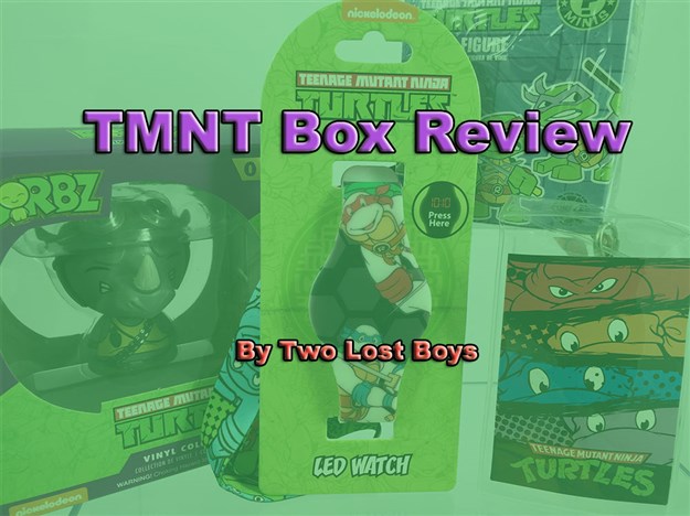 TMNT Box Review