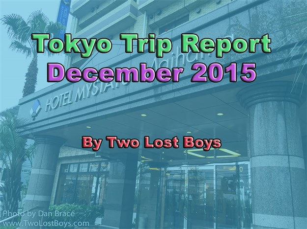 Tokyo, December 2015 Trip Report - The city, the airport, our hotel, shopping and more!